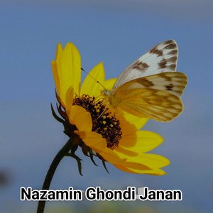 Hajjian Che Tawafona Kawy