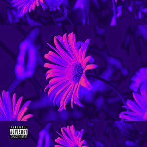 IN SUMMER（JIUZHOU's Version）