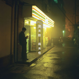 那晚的雨刚好
