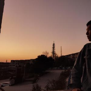 玫瑰（副2）（翻自 贰佰）