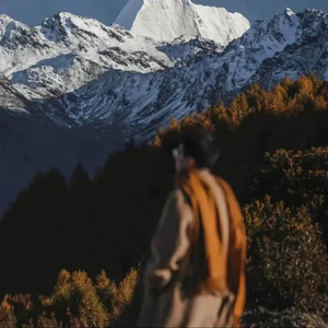 少年的心动与遗憾