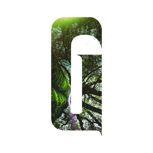 Forest (Radio-Edit)