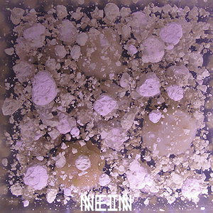 Dust Rings (Original Mix)