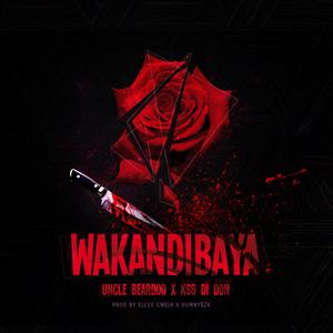 Wakandibaya (feat. KSG Di Don)