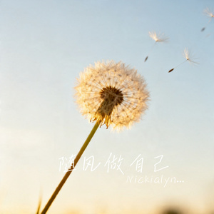 随风做自己