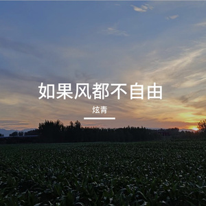 如果风都不自由