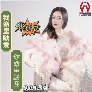我命里缺爱你命里缺我（DJ逍遥版）