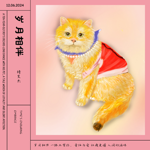 岁月相伴