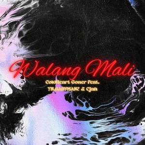 Walang Mali (feat. YN.BABYMANE & Cjah)