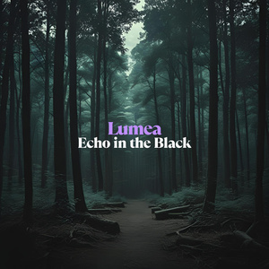 Echo in the Black
