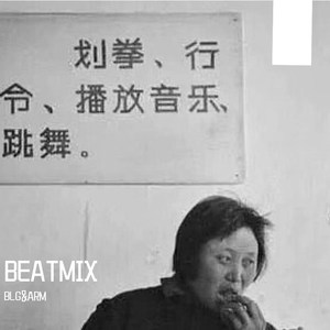 张艾嘉-风儿轻轻吹