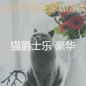 微妙的猫在家心情