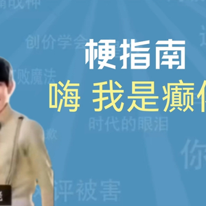 嗨我是癫佬【梗指南】