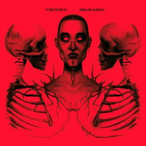 2 zwes (feat. Vrodex)