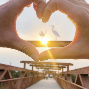 你愿意嫁给我吗