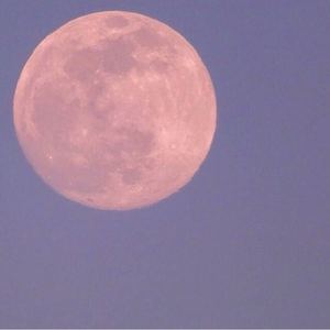 有关于你简单的温柔