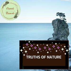 Relaxing Burning Woods Sounds