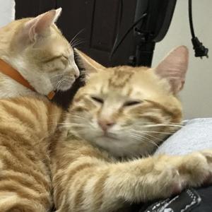 Waiting For Me(Prod. Aura)