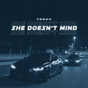 She Doesn't Mind (slowed + reverb)