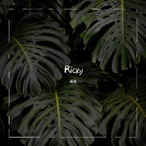 你的一生我只借一晚