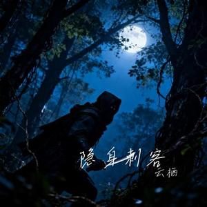 隐身刺客 (Cover 陈雅森)