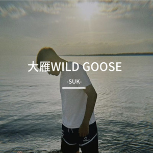 大雁WILD GOOSE