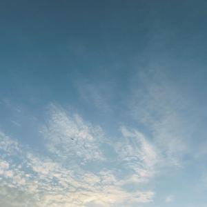passing sunrise I