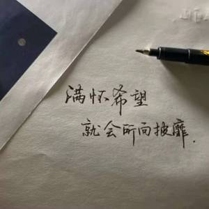 孤鸟的歌