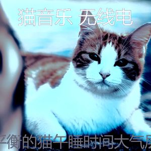 抚慰的睡猫回忆