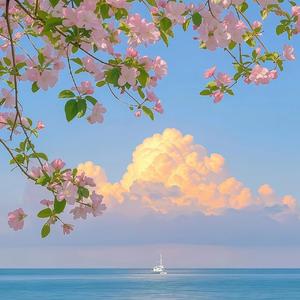 我以为我已经好了