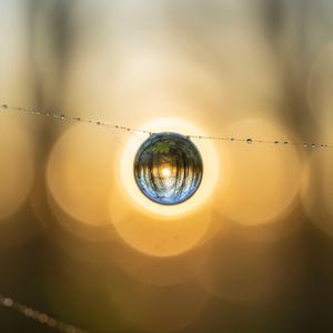 hiljaisuuden kultainen reuna vol. 1