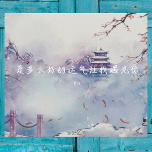 是什么让我遇见这样的你