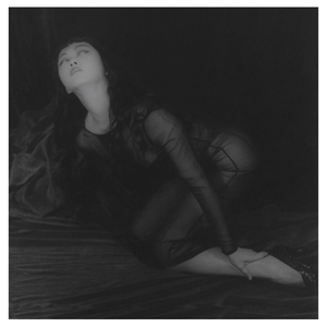 Le Voleur