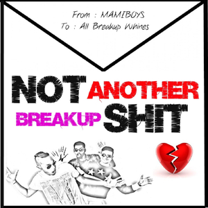 Not Another Breakup Shit