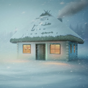 Шкода волі