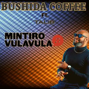Mintiro Vulavula