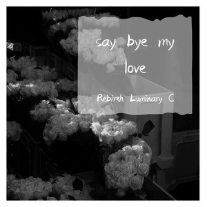 say bye my love