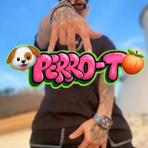 PERRO-T