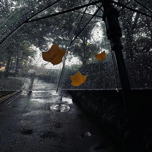 等一场大雨