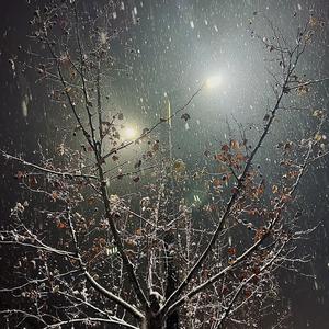 IMG_2022-03-24_22:13:11_0