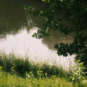 君と僕の夢だけが残る