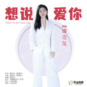 想说爱你（伴奏）
