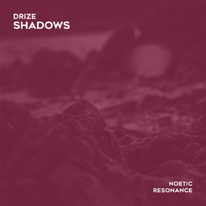Shadows (Into the Shadows Mix)