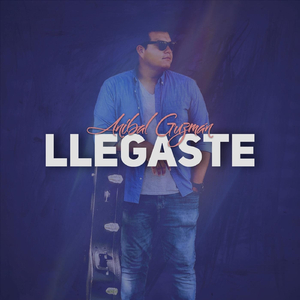 Llegaste