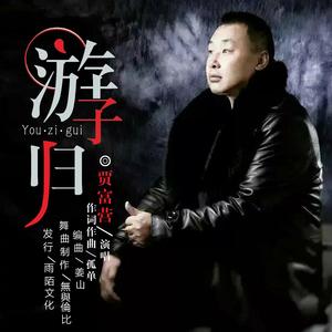 游子归（火爆舞曲版）