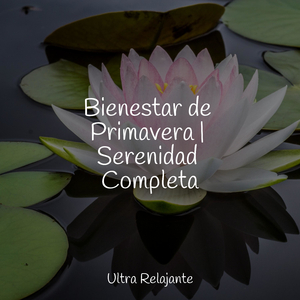 Siéntate y Relájate