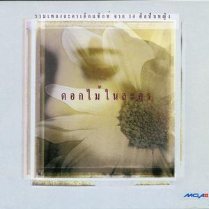 สิ่งเดียว (ละคร ฟ้าเพียงดิน)