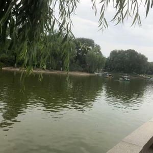 枕边童话（翻自 傲七爷）