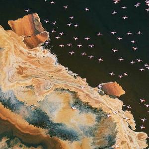 天空の城ラピュタ