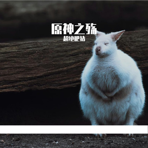 胖子的原神之殇